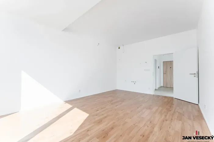 Prodej bytu 1+kk, Plzeň, Železná, 33 m2
