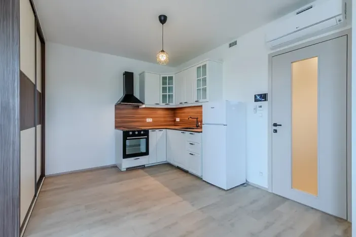 Pronájem bytu 1+kk, Praha - Žižkov, Malešická, 39 m2