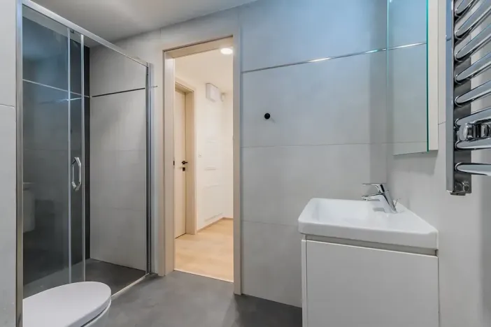 Pronájem bytu 1+kk, Praha - Žižkov, Malešická, 39 m2