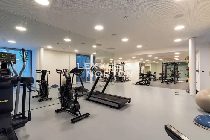 Pronájem bytu 6+kk a větší, Praha - Smíchov, Na Hřebenkách, 297 m2