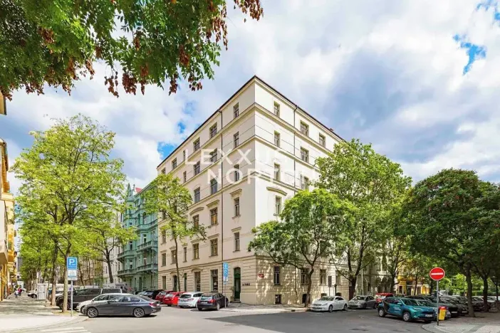 Prodej bytu 4+kk, Praha - Vinohrady, Mánesova, 153 m2