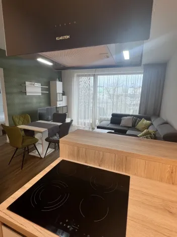 Pronájem bytu 2+kk, Plzeň - Východní Předměstí, Pallova, 46 m2