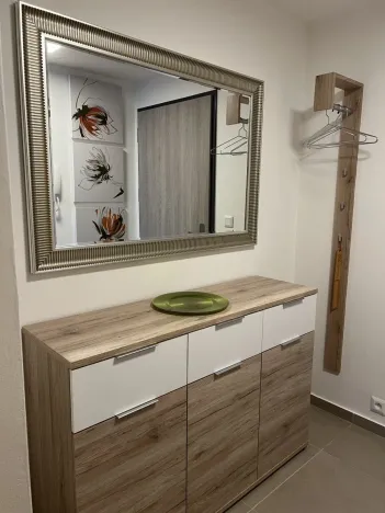 Pronájem bytu 2+kk, Plzeň - Východní Předměstí, Pallova, 46 m2