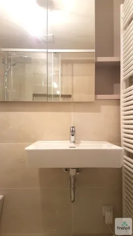 Pronájem bytu 1+kk, Praha - Košíře, Česká, 43 m2