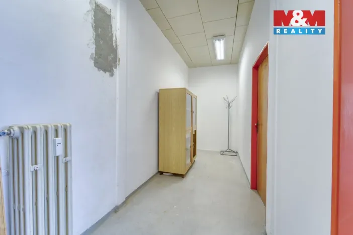 Pronájem obchodního prostoru, Nepomuk, Na Vinici III., 39 m2