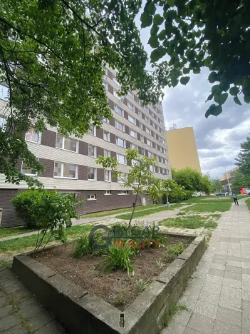Prodej bytu 1+kk, Praha - Chodov, Benkova, 30 m2