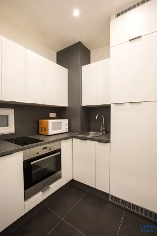 Pronájem bytu 1+kk, Praha - Nusle, Na bitevní pláni, 34 m2