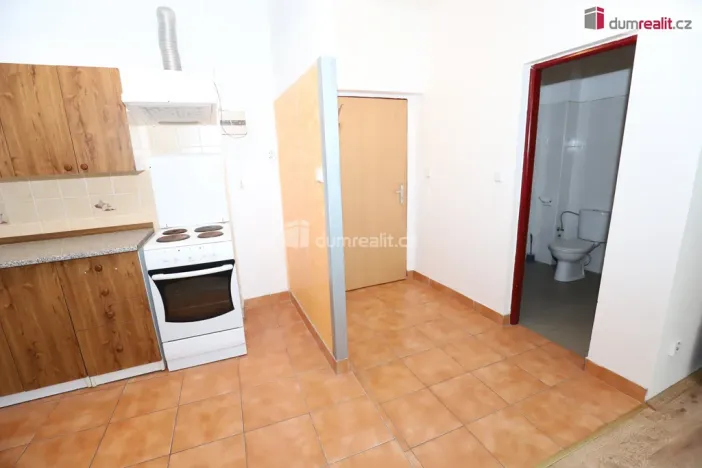 Pronájem bytu 1+kk, Karlovy Vary - Počerny, 58 m2