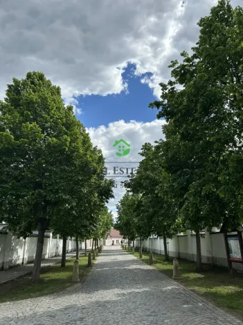 Prodej bytu 3+1, Oslavany, Moravská, 80 m2