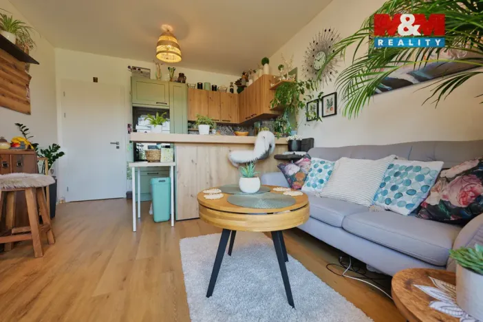 Prodej bytu 3+kk, Rostěnice-Zvonovice - Rostěnice, 53 m2
