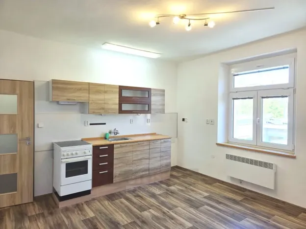 Pronájem bytu 1+1, České Budějovice - České Budějovice 3, Pekárenská, 51 m2
