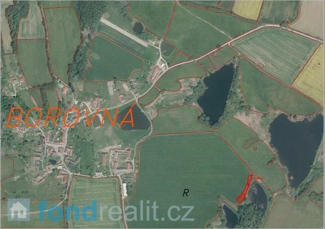 Prodej pozemku, Borovná, 1225 m2