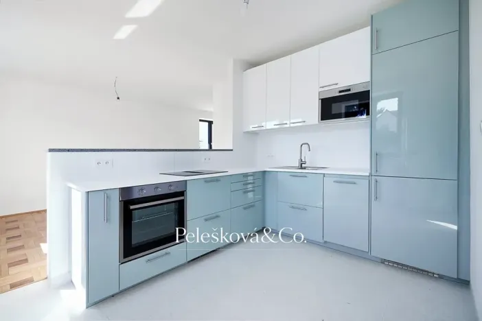 Pronájem rodinného domu, Praha - Braník, V malých domech I, 300 m2