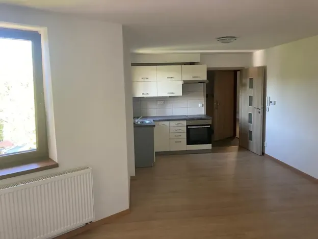Pronájem bytu 1+1, Liberec, Šlikova, 38 m2