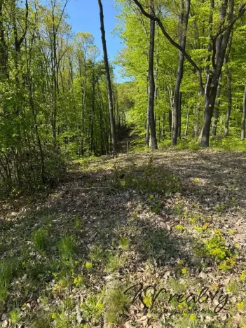 Prodej lesa, Hradčovice, 2504 m2