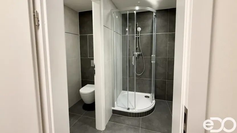 Pronájem bytu 1+kk, Praha, Poděbradská, 33 m2
