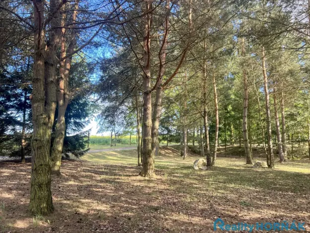 Prodej pozemku pro bydlení, Katovice, 3304 m2