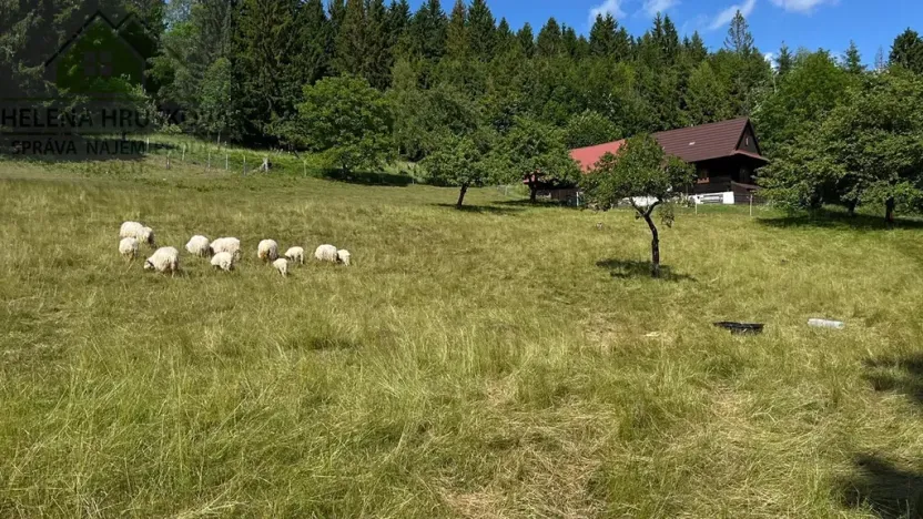 Prodej chalupy, Dolní Bečva, 140 m2