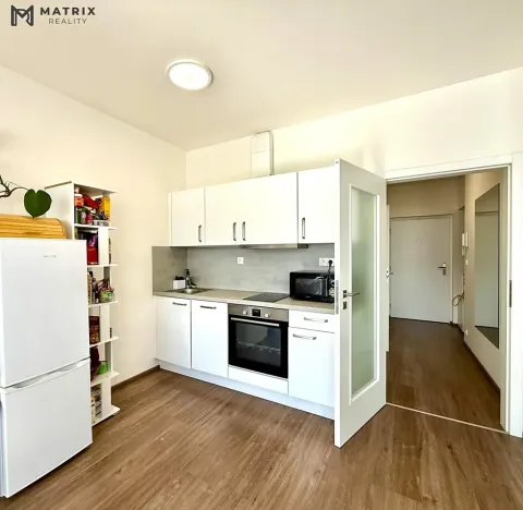 Pronájem bytu 1+kk, Praha - Libeň, U Rokytky, 72 m2
