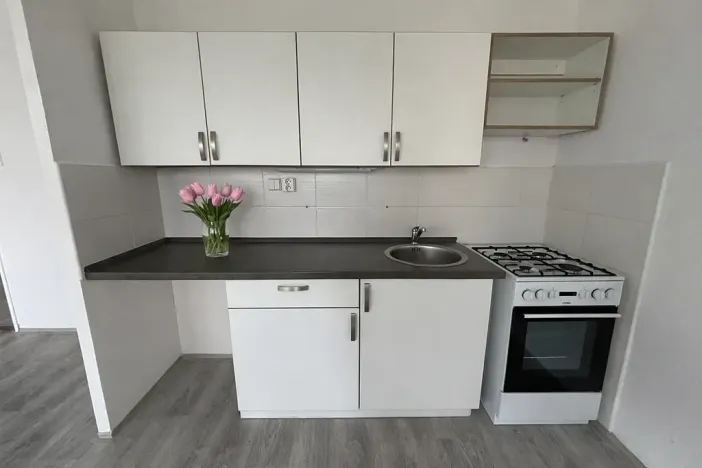 Pronájem bytu 3+1, Litvínov, Valdštejnská, 70 m2