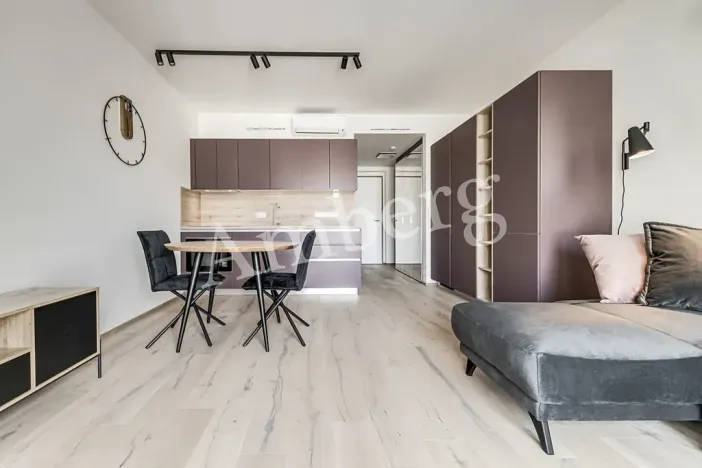 Pronájem bytu 1+kk, Praha - Karlín, Křižíkova, 34 m2