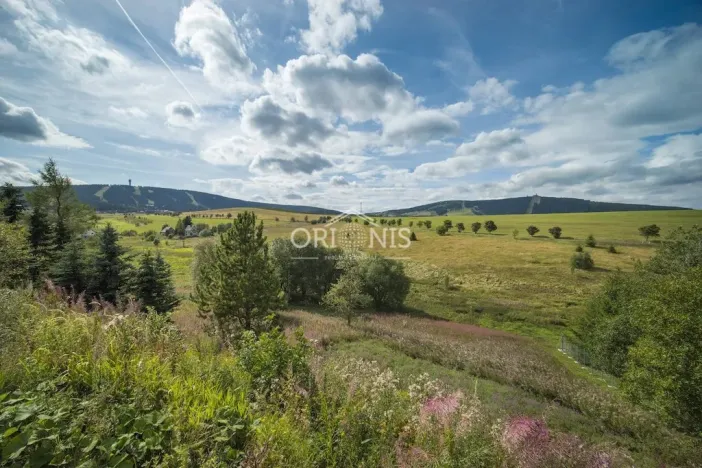 Prodej chalupy, Loučná pod Klínovcem - Háj, 380 m2