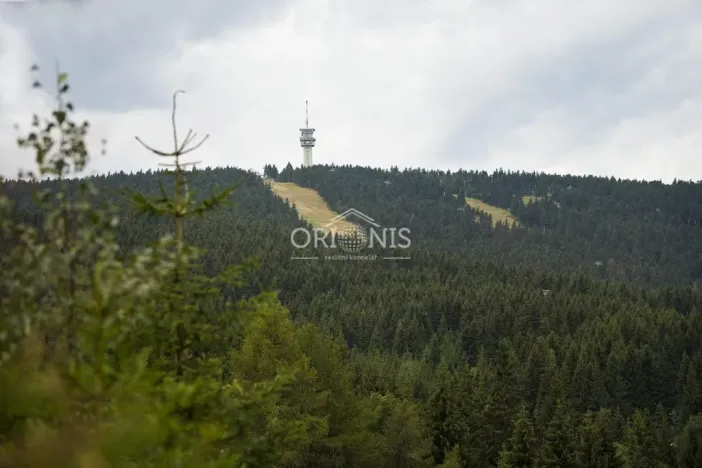 Prodej chalupy, Loučná pod Klínovcem - Háj, 380 m2