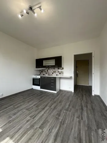 Pronájem bytu 1+1, Duchcov, Osecká, 36 m2