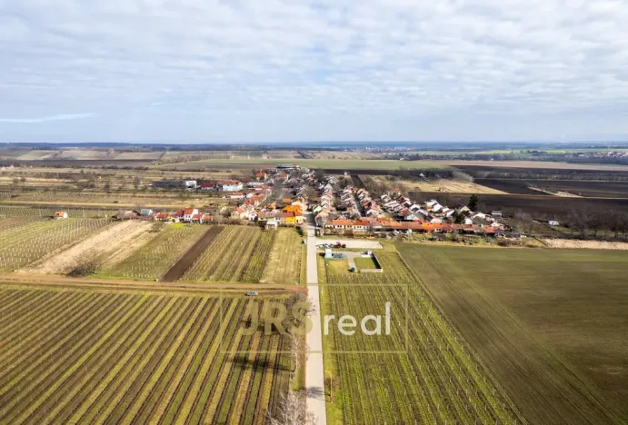 Prodej rodinného domu, Prušánky, Nechory, 145 m2