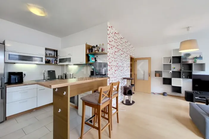 Pronájem bytu 2+kk, Brno, Leskauerova, 54 m2