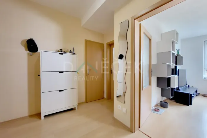 Pronájem bytu 2+kk, Brno, Leskauerova, 54 m2