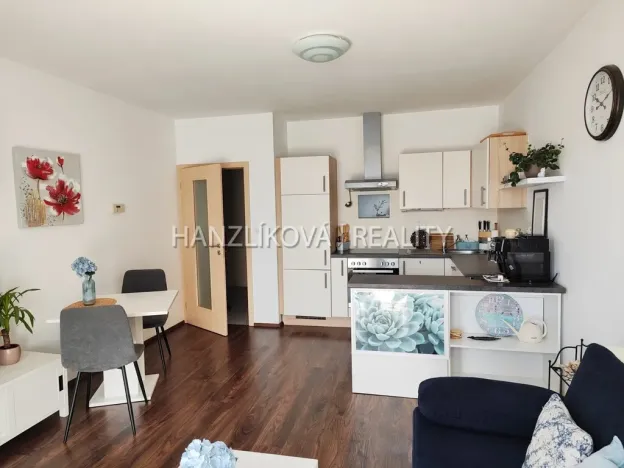 Pronájem bytu 2+kk, České Budějovice - České Budějovice 3, Jírovcova, 56 m2