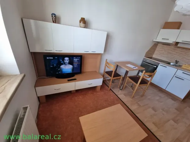 Pronájem bytu 1+1, Brno - Husovice, Elgartova, 32 m2