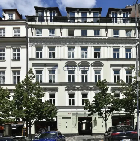Pronájem kanceláře, Praha, Václavské náměstí, 310 m2