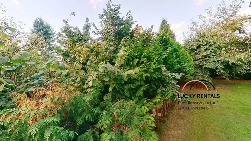 Pronájem bytu 1+kk, Průhonice, U Křížku, 20 m2