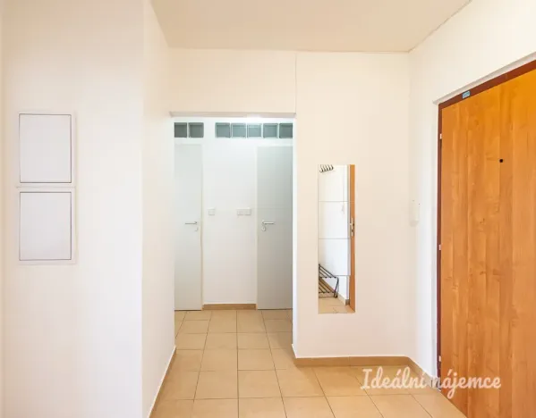 Pronájem bytu 2+1, Praha - Žižkov, Jilmová, 54 m2