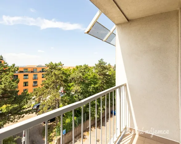 Pronájem bytu 2+1, Praha - Žižkov, Jilmová, 54 m2