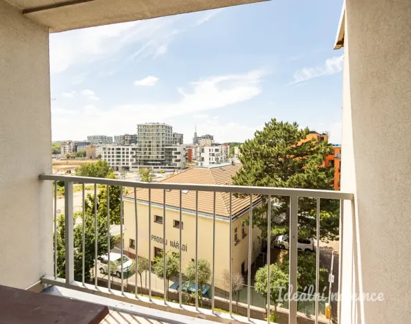 Pronájem bytu 2+1, Praha - Žižkov, Jilmová, 54 m2