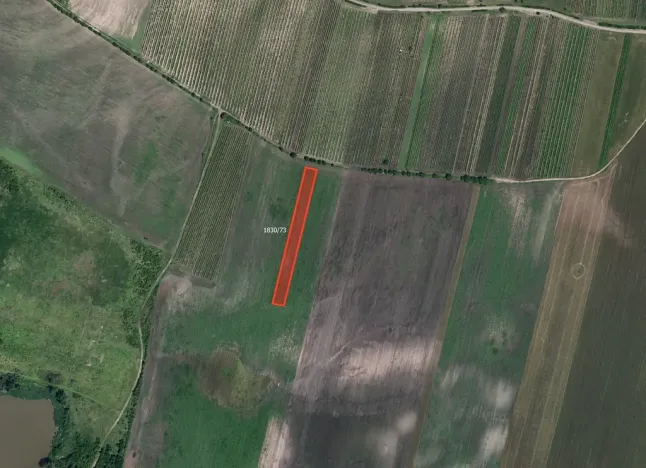 Prodej pole, Hlohovec, 2074 m2