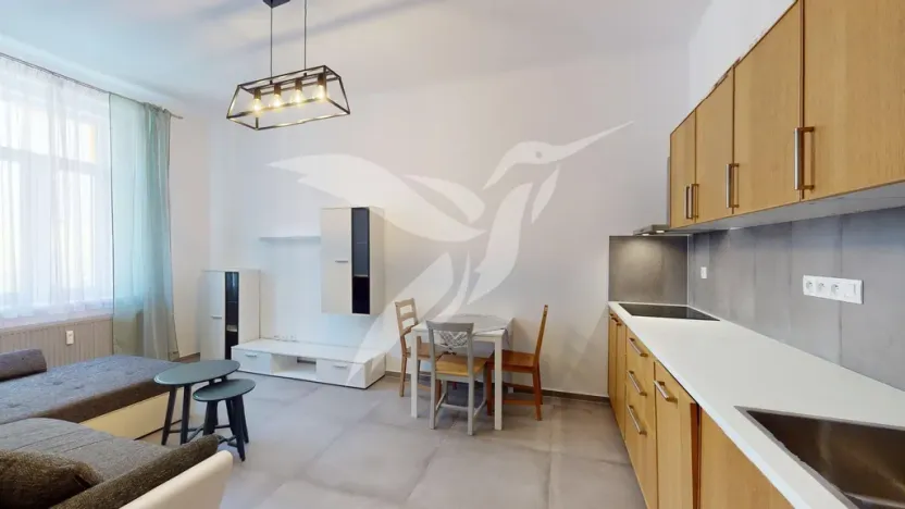 Pronájem bytu 2+kk, Plzeň, Zikmunda Wintra, 52 m2