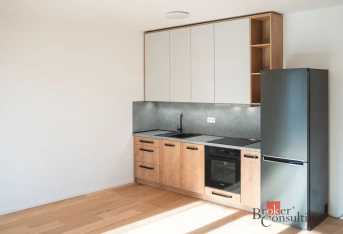 Pronájem bytu 1+kk, Brno - Zábrdovice, Bratislavská, 35 m2