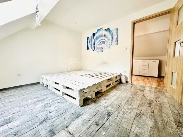 Prodej vícegeneračního domu, Chlumany, 200 m2