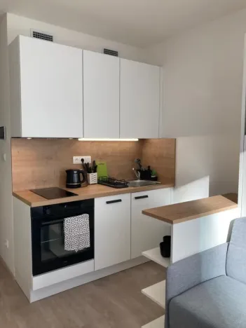 Pronájem bytu 1+kk, Praha - Smíchov, Plzeňská, 20 m2