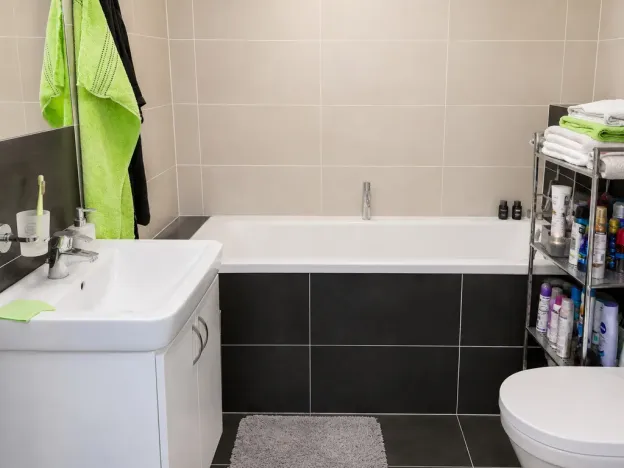 Pronájem bytu 2+kk, Brno - Slatina, Kigginsova, 42 m2