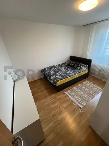 Pronájem pokoje, Praha - Žižkov, Lukášova, 16 m2