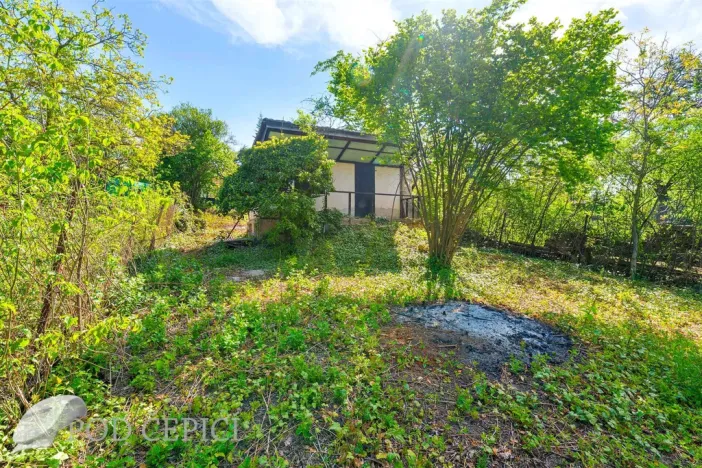 Prodej zahrady, Brno - Černovice, Vinohradská, 1746 m2