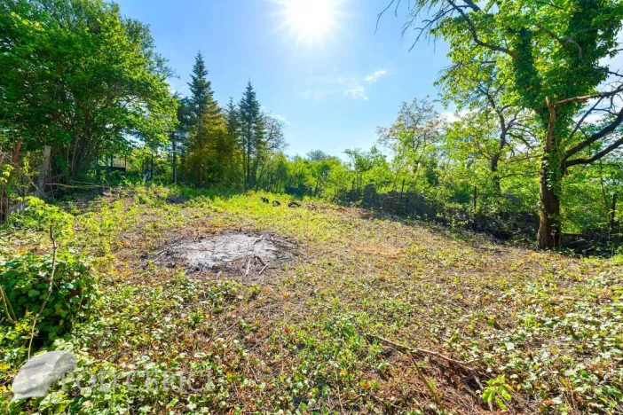 Prodej zahrady, Brno - Černovice, Vinohradská, 1746 m2