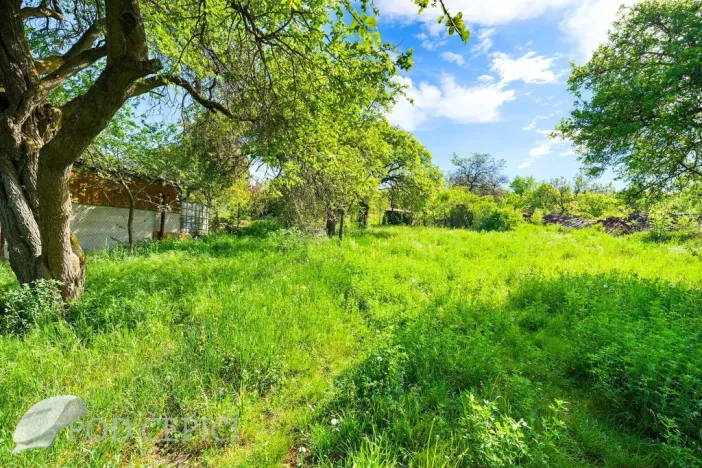 Prodej zahrady, Brno - Černovice, Vinohradská, 1746 m2