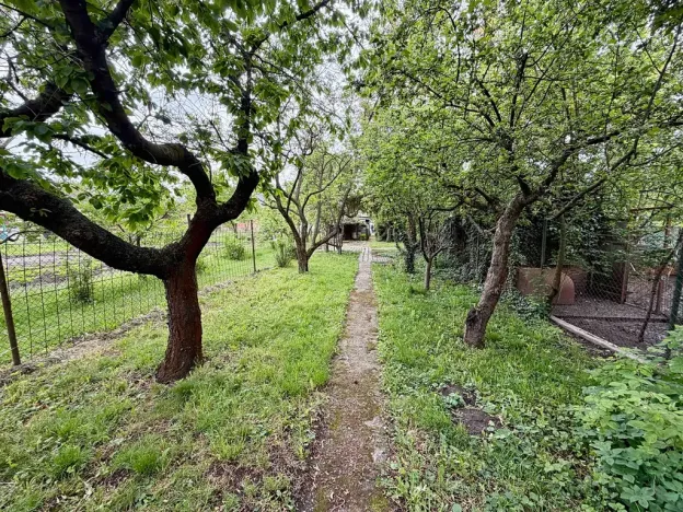 Prodej vícegeneračního domu, Olšany u Prostějova, 230 m2