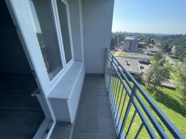 Prodej bytu 1+kk, Ostrava - Zábřeh, Petruškova, 28 m2